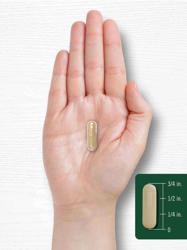 Stinging Nettle Leaf Extract 2000mg | 300 Capsules | by Carlyle