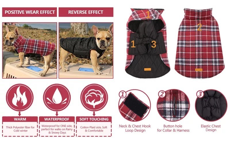 Large-Dog Waterproof/ Windproof Reversible Jacket.  