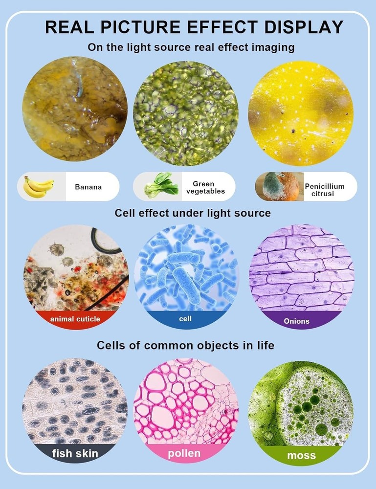 Achromatic Objective Lens USB Digital Microscope