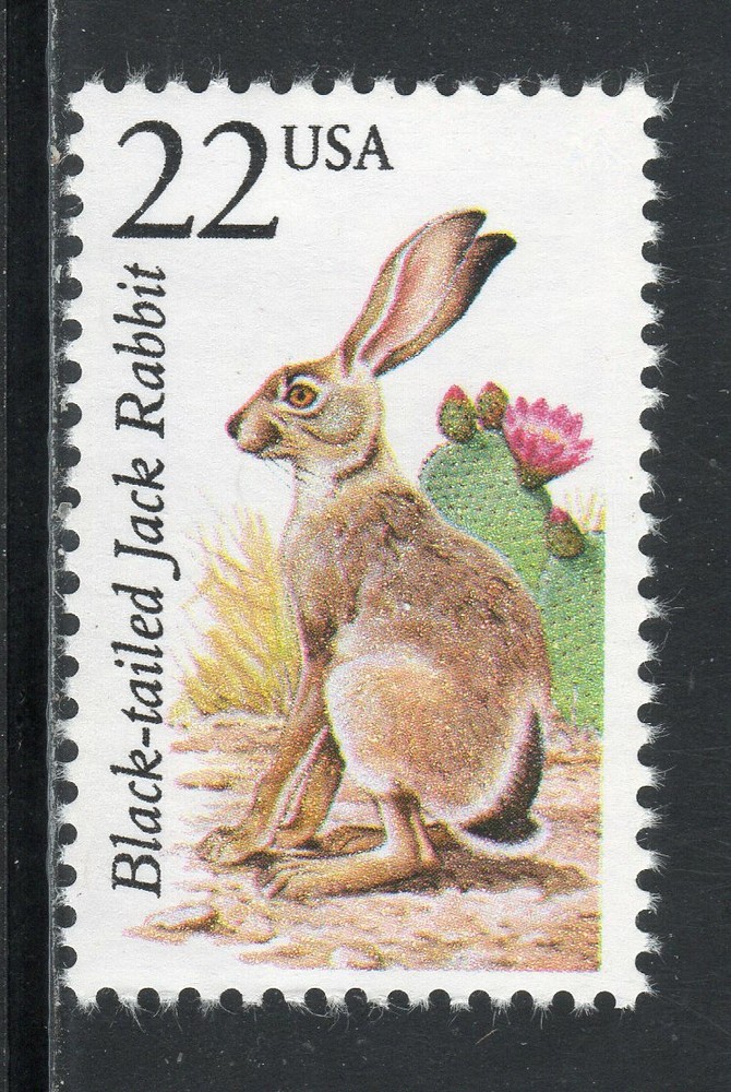 2305 * BLACK TAILED JACK RABBIT *  U.S. Postage Stamp MNH *
