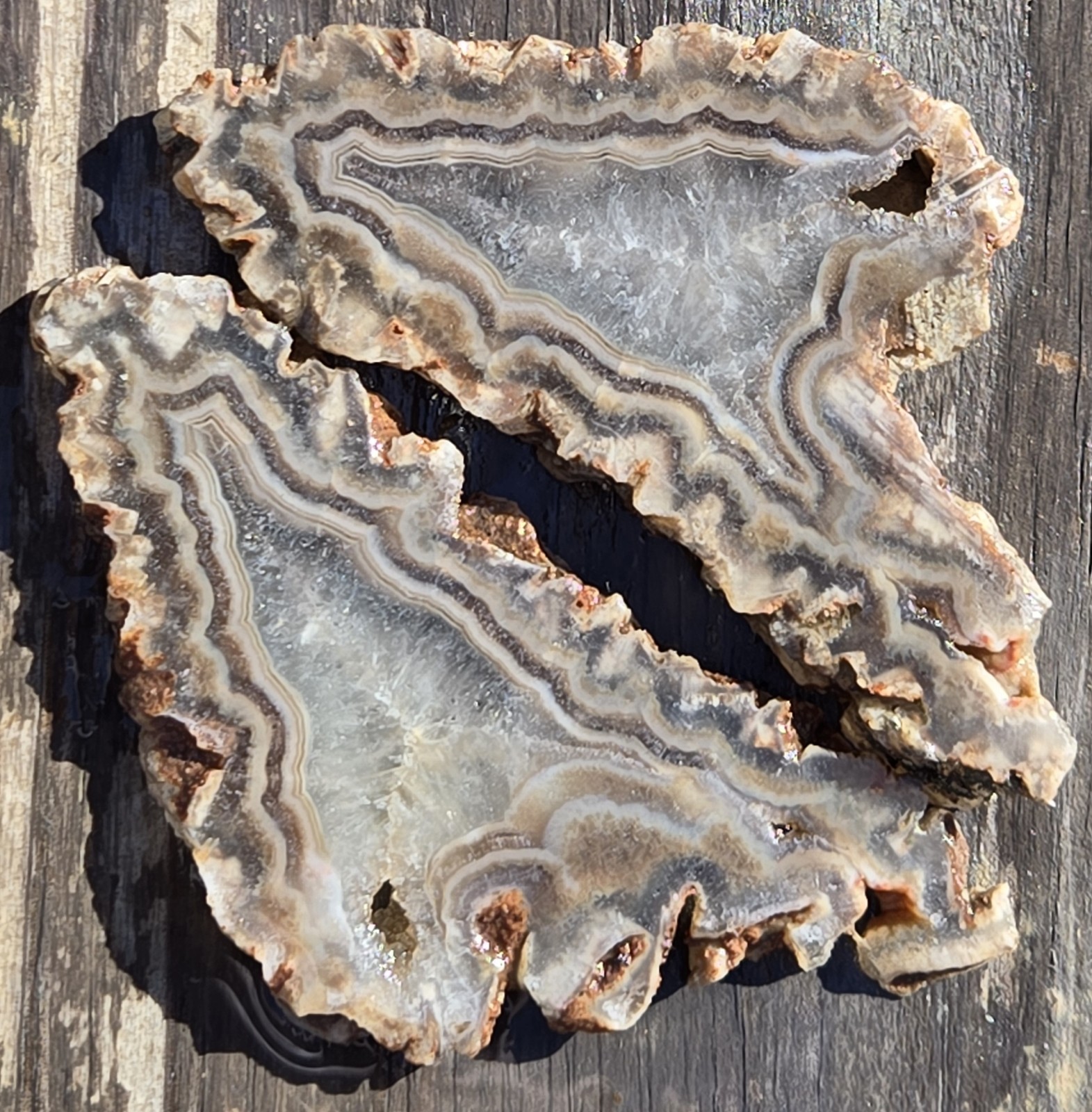 Turkish Agate Slabs Slices From One Stone Matching Lapidary Unique