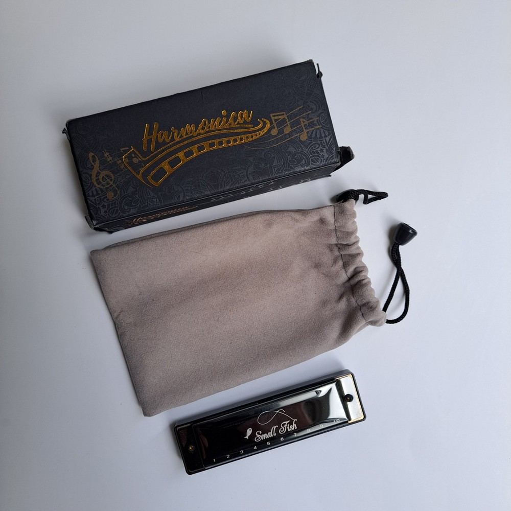 Small Fish 10‑Hole Diatonic Harmonica – Beginner Model w/ Box
