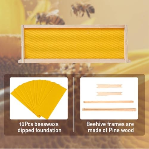 Medium Super Beehive Box,Langstoth Super Honey Bee Hive Box, Include 10 Frame