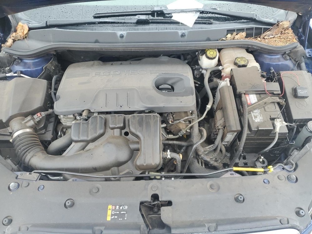 VERANO 2013 Glove Box 4894560