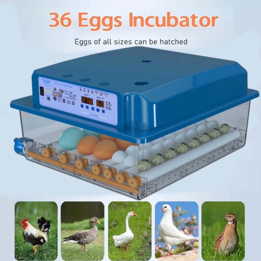 36Egg Incubators for Hatching Eggs with Automatic Egg Turning and Egg Candler US