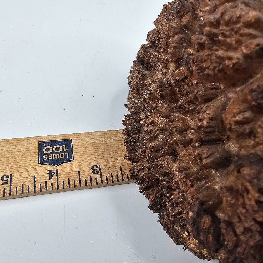 Rough Edge Burlwood Clock Maple