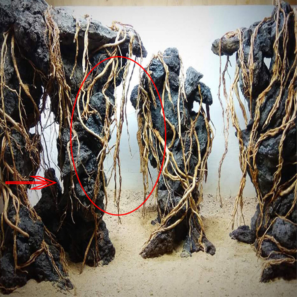 US Natural Driftwood Aquarium Root Trunk Tree Fish Tank Landscape Plant Roots