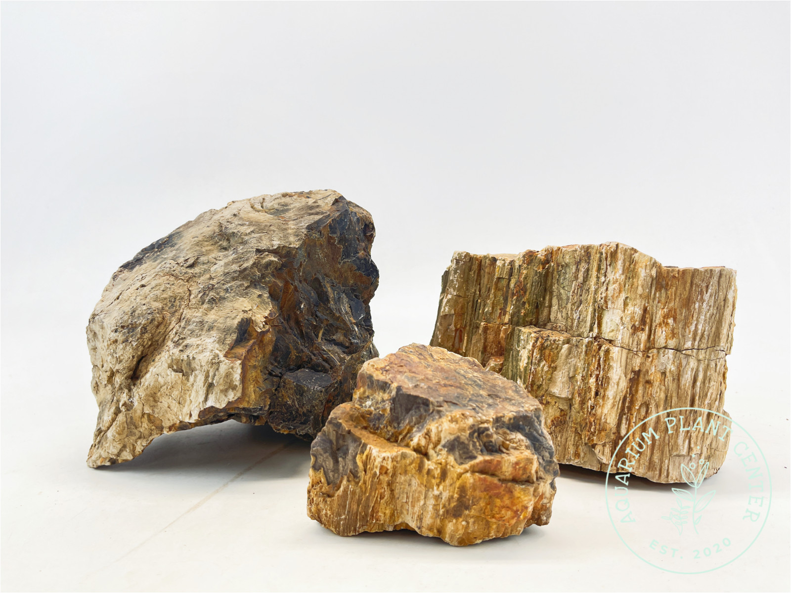 Petrified Wood Stone / Planted Aquarium / Decoration / Hardscape / Aquarium