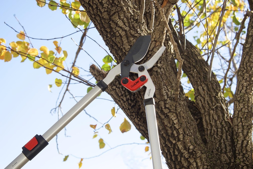 Tools | Branch Cutter DualLINK Extendable Bypass Loppers | Tree Trimmer Cuts ...
