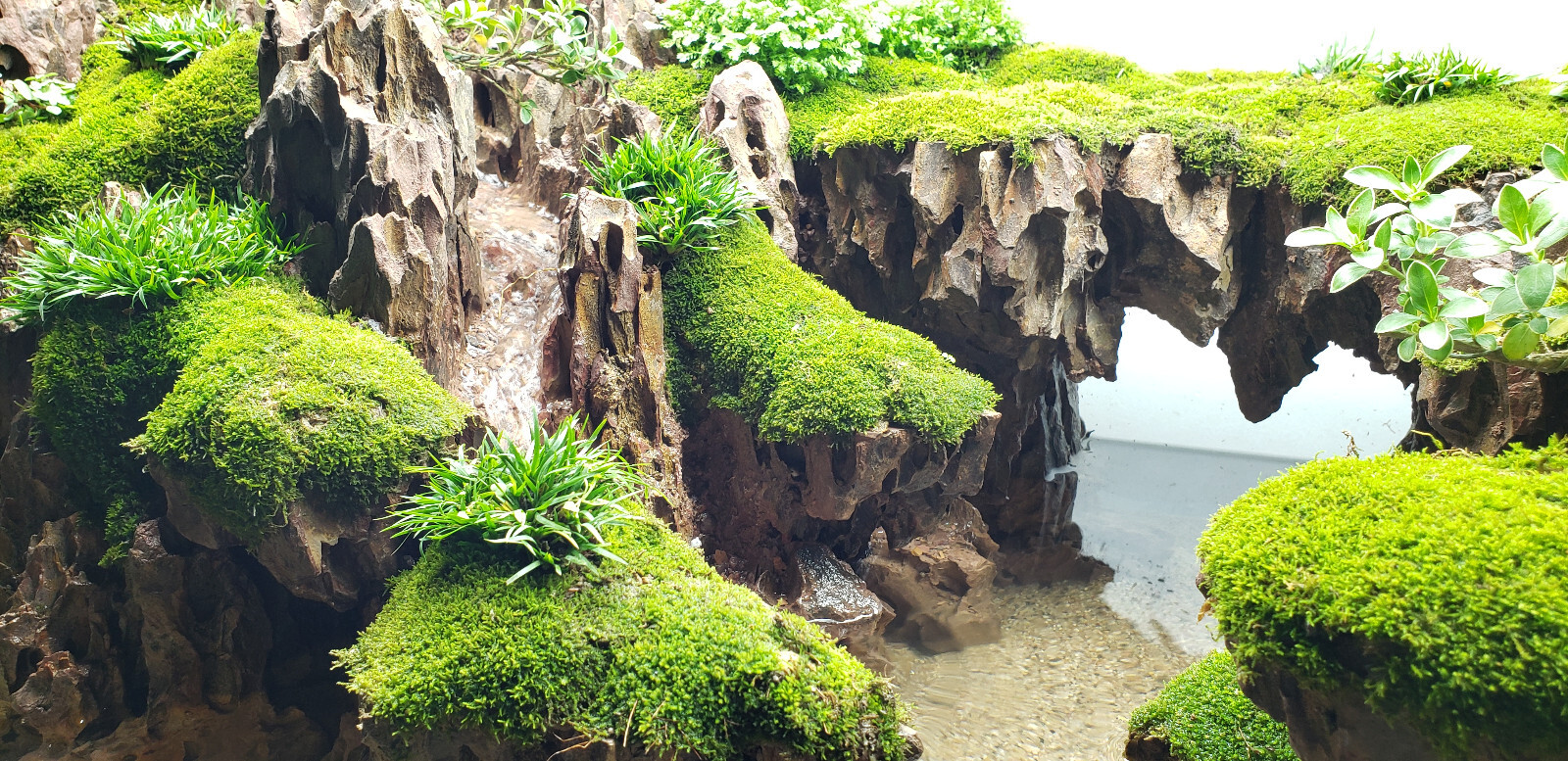 Dragon Stone (Ohko Stone) / Planted Aquarium / Decoration / Hardscape / 20 Lbs