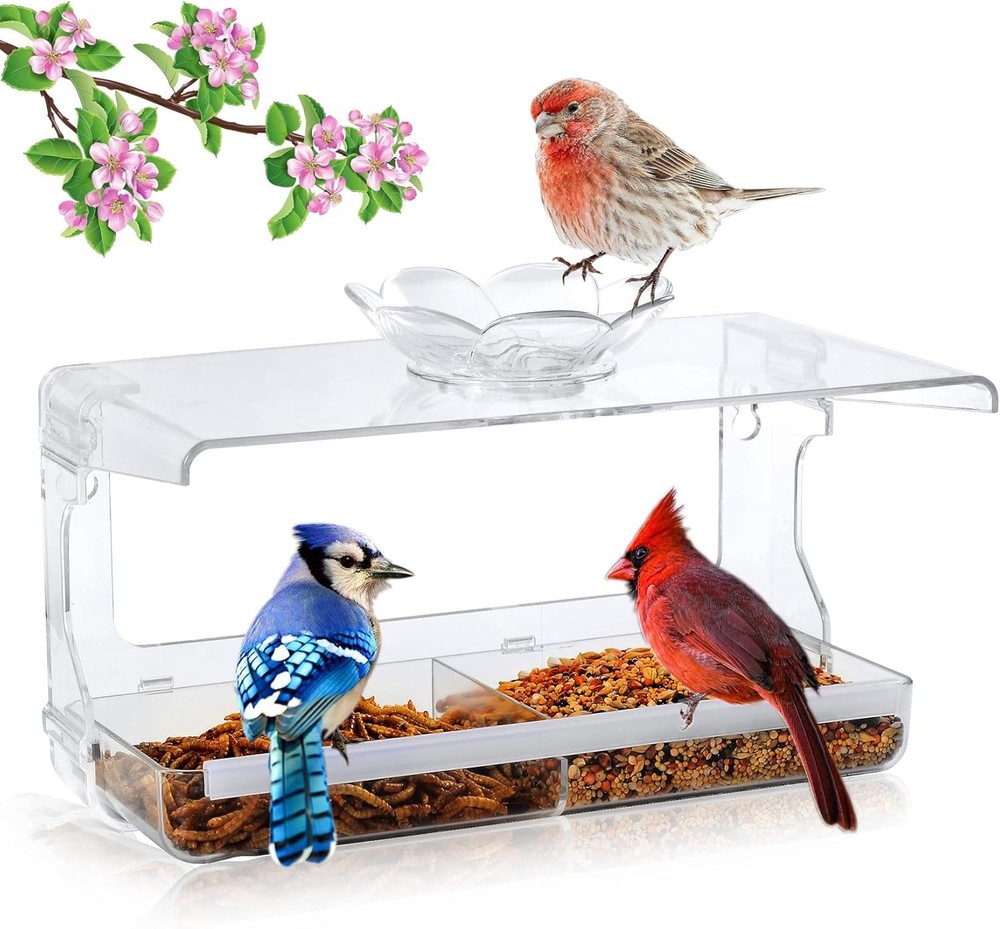 Window Bird Feeder with Non-Marking Self-Adhesive Hooks, Clear and