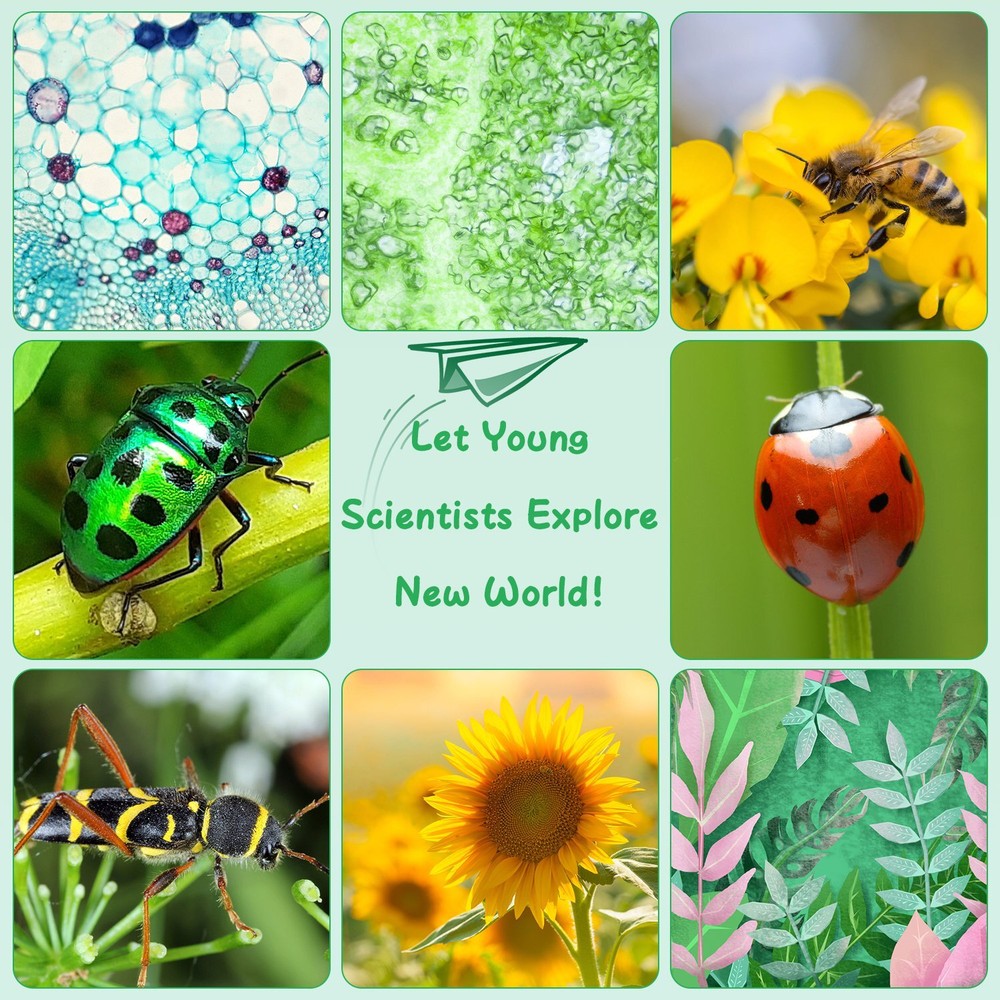 1000X Handheld Microscope for Kids Screen Rechargeable Mini Pocket Digital