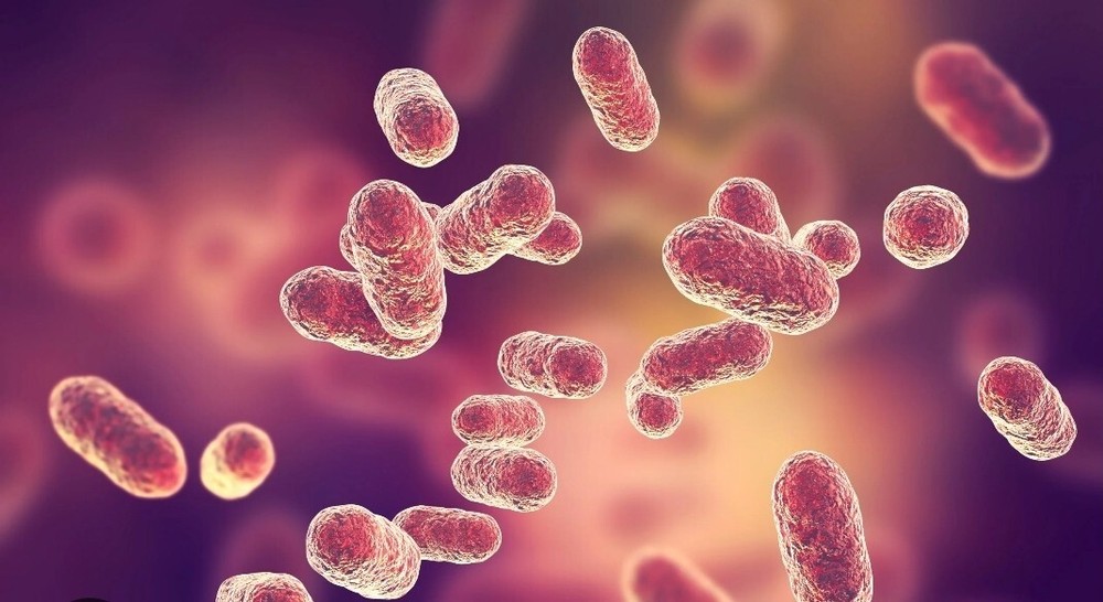 NoBac Toothpaste "Killing any bacteria & virus particularly in mouth"