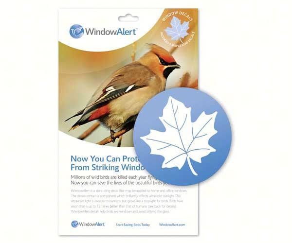 Maple Leaf (4 per package) by Window Alert