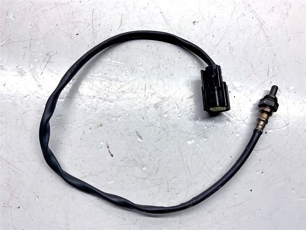 2021 Harley-Davidson Iron 1200 XL1200NS Lambda Sensor