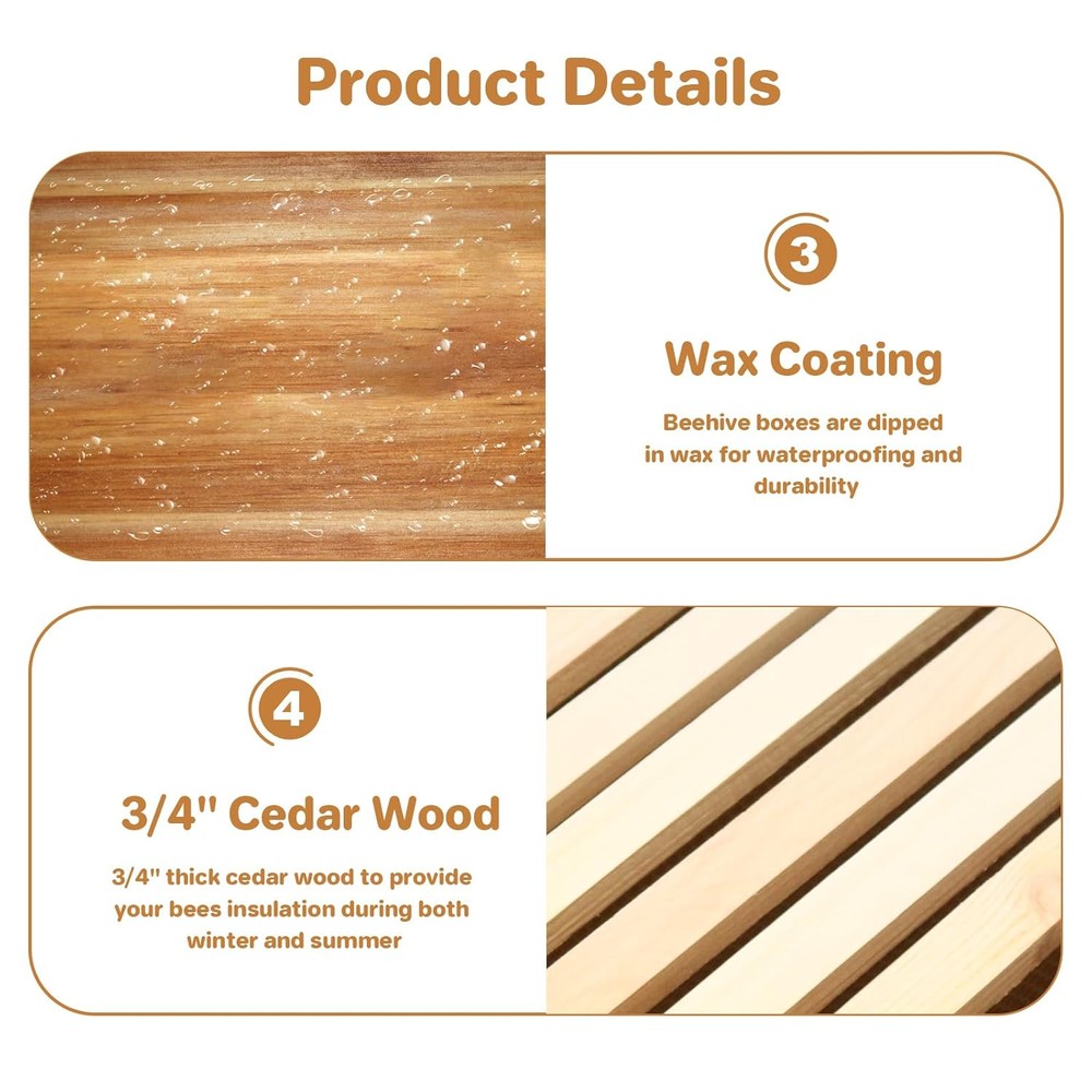 10-Frame Complete Beehive Frame Kit Wax Coated w/ 2 Deep Box 1 Medium Bee Box