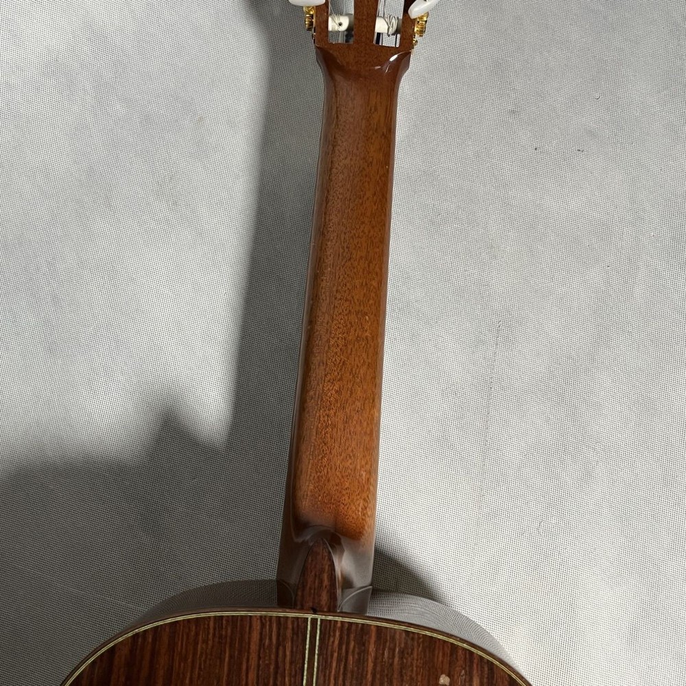 Luthier MH100 (no2501001)