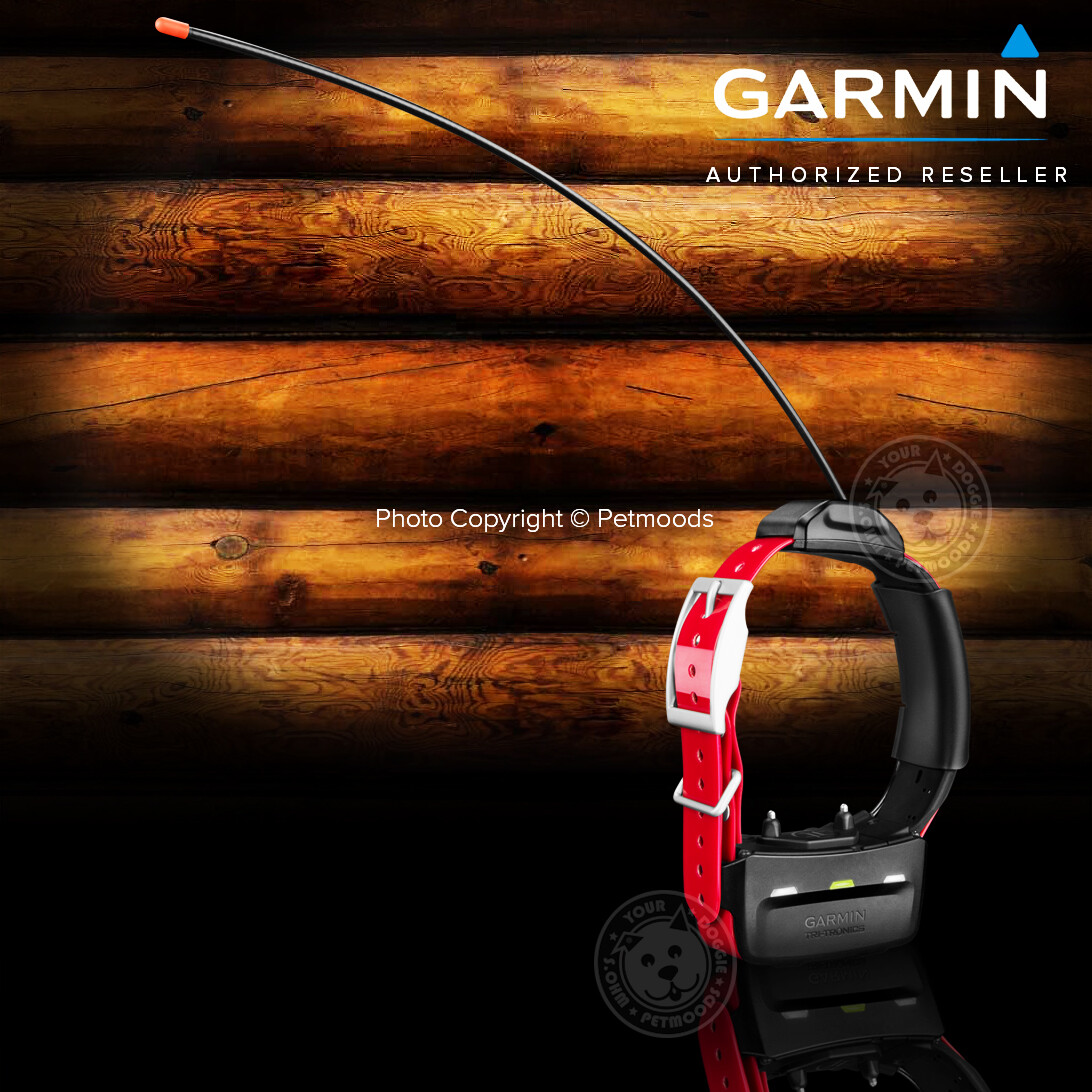 Garmin TT15X Dog Device GPS Tracking Training Collar 010-02755-80