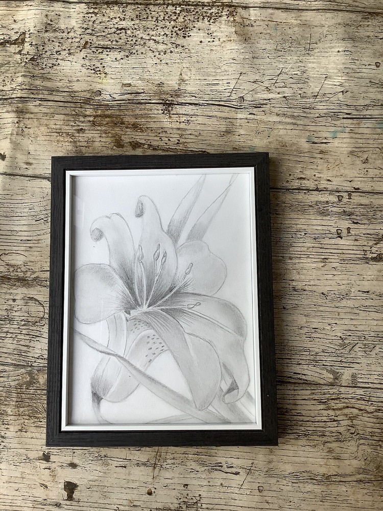 Lilly Drawing Picture