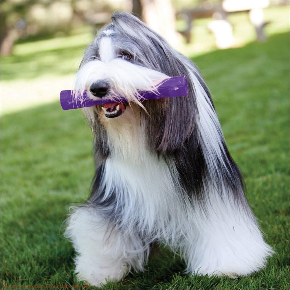 KONG Squeezz Stick Fetch Dog Toy - Purple - L *BRAND NEW*
