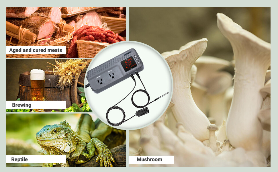 Inkbird 608T Digital Temperature Humidity Controller Greenhouse Grow Tent 110V