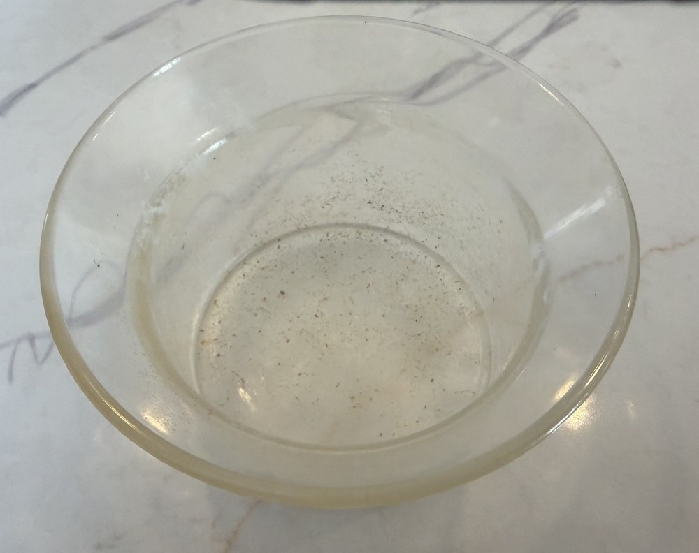 FB Rogers Wagon dish