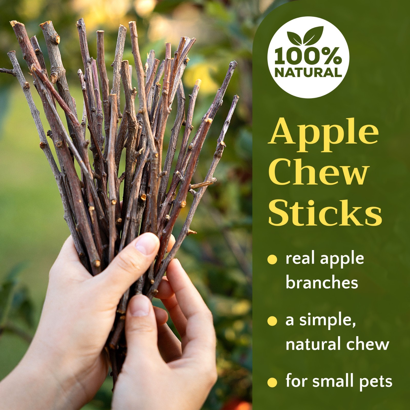 Apple Chew Sticks – Natural Wood for Rabbits, Hamsters, Guinea Pigs