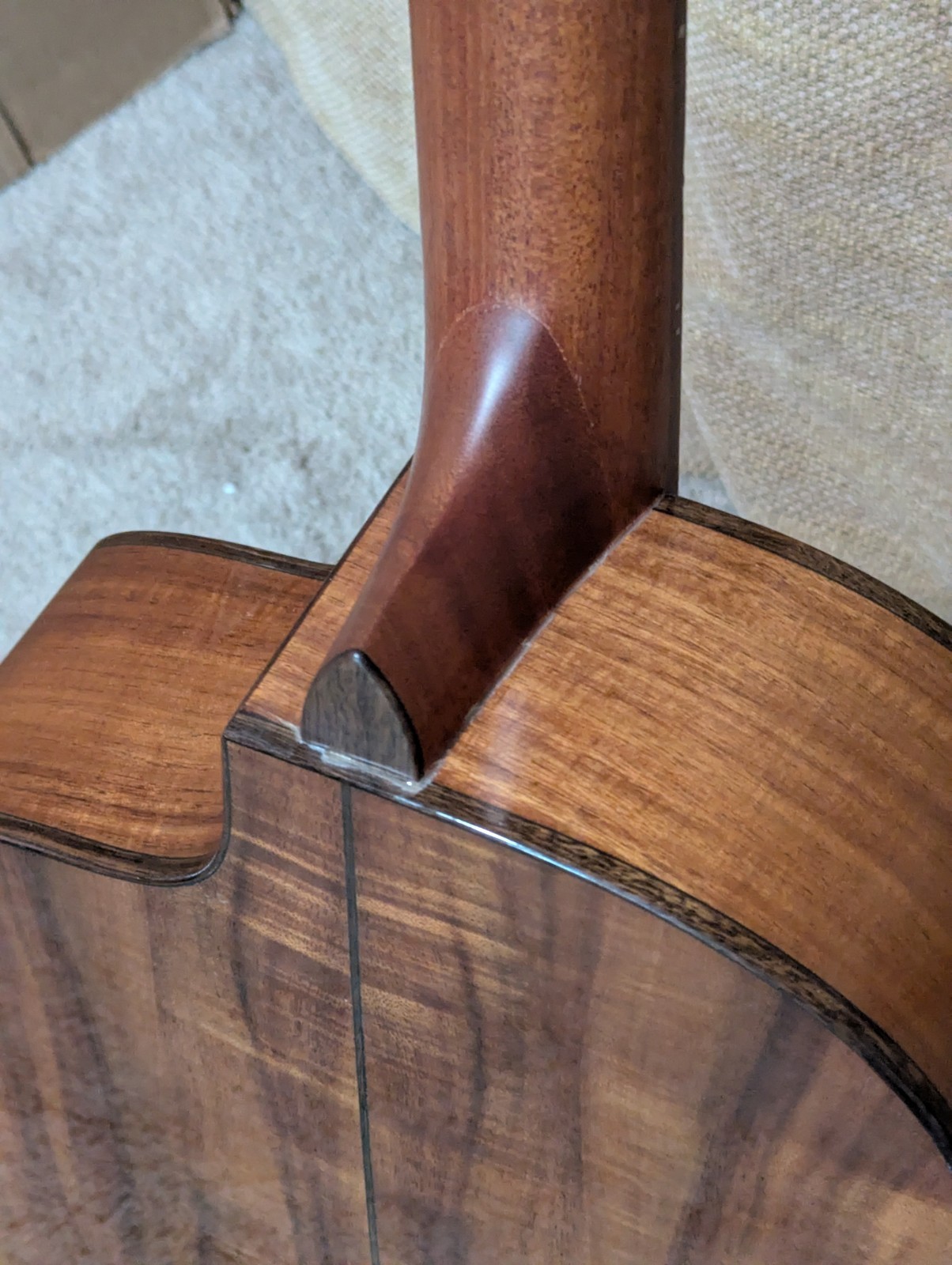 Washburn Bella Tono Allure Elite Acoustic-Electric Guitar - Minor cosmetic Blem