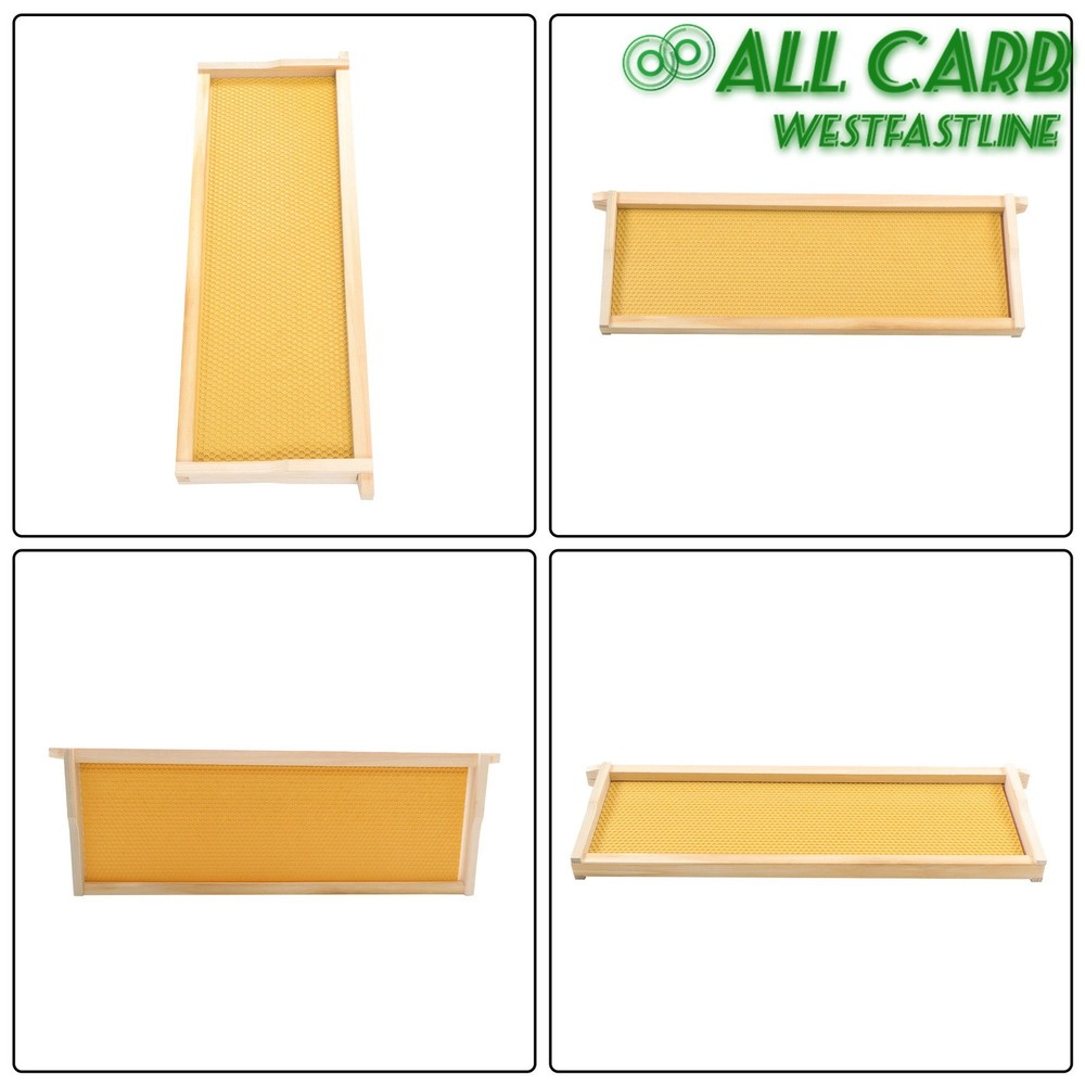 4 Layer 10 Frame Bee Hive Beeswax Coated Includes Beehive Frames and Foundations