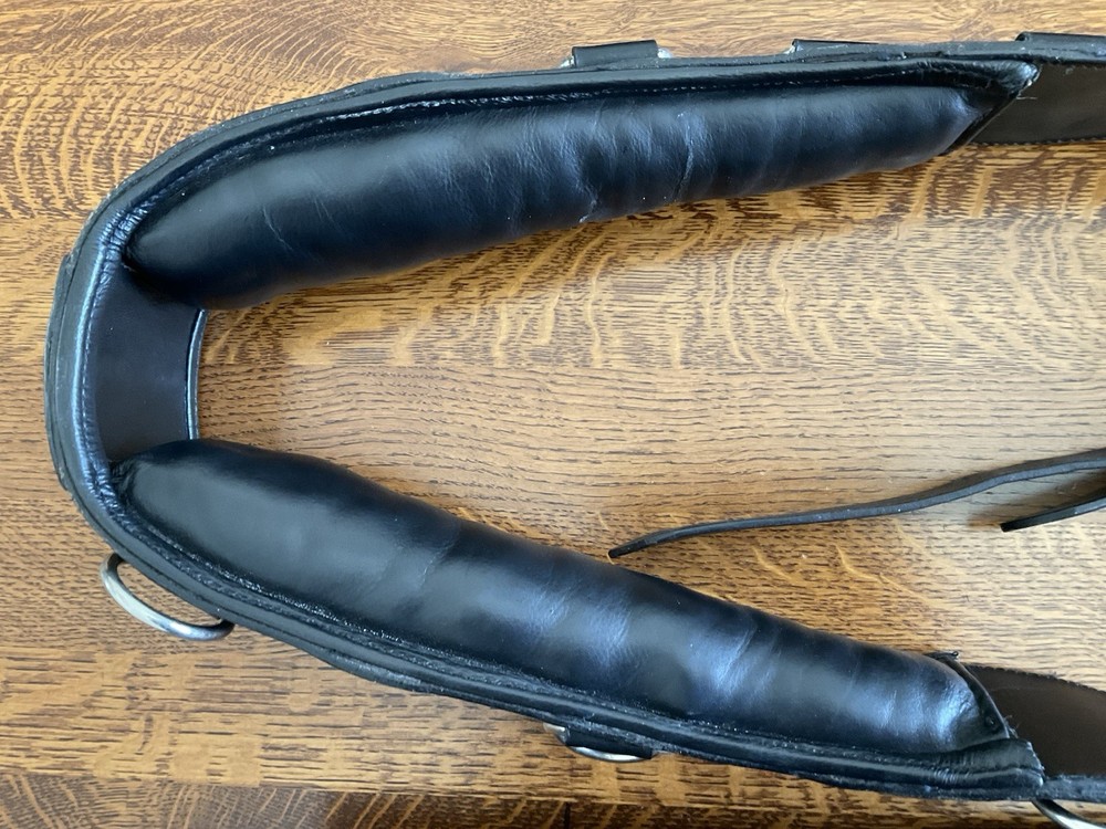 Training Surcingle, Horse Size. All Leather with Multiple Rings.
