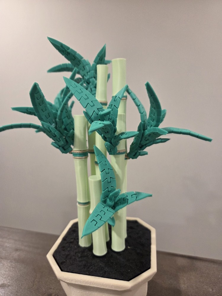 Personalized Lucky Bamboo -FlexiPlants 3D