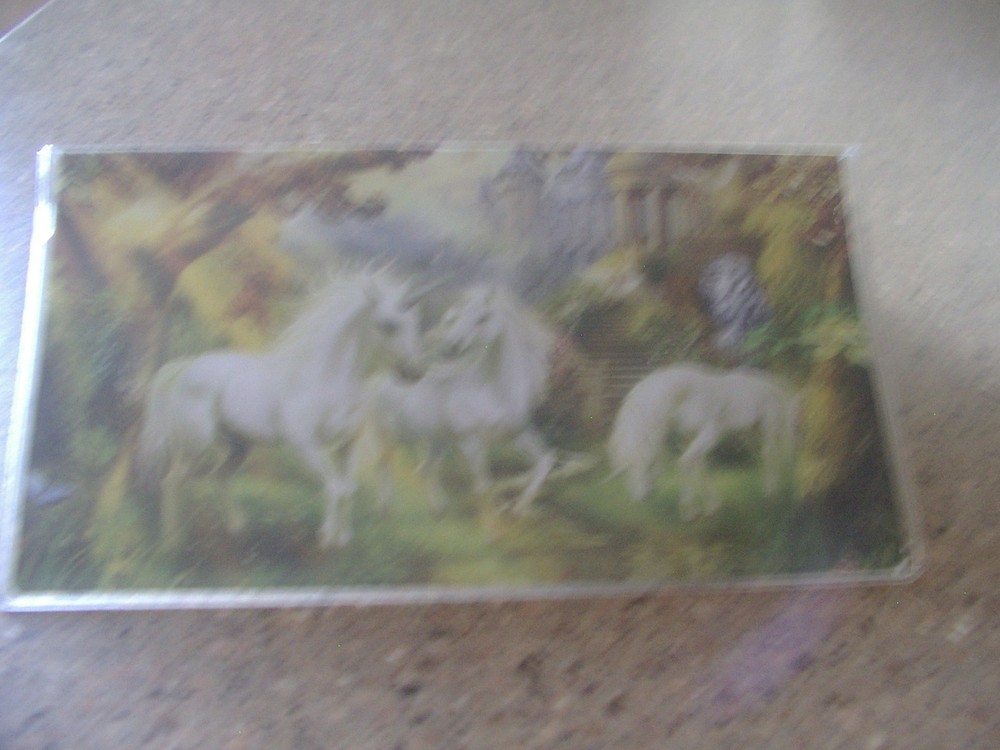 Unicorn Vinyl Checkbook cover