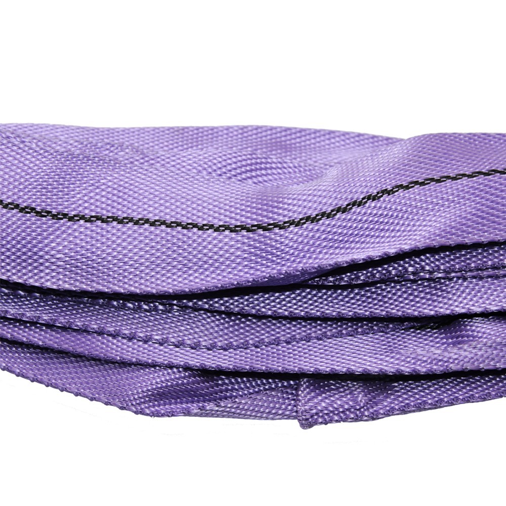 10 PK 4FT Purple Endless Round Sling Wrecker Crane Rim Sling Lifting Loop SF5:1