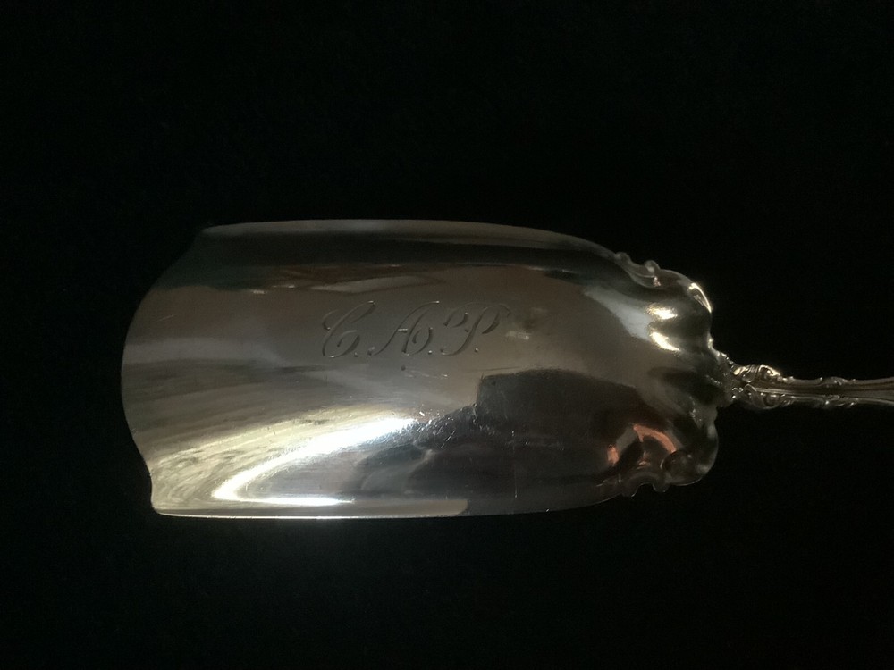 Whiting Division LILY almond scoop