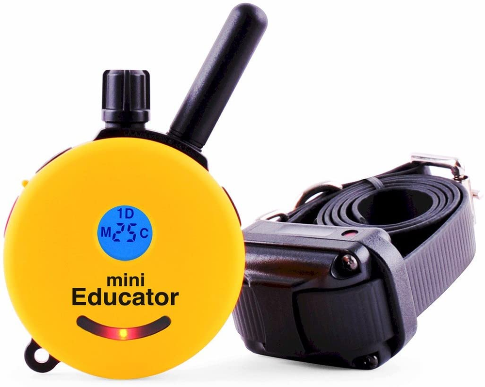 Mini Educator E-Collar ET-300 Remote Off Leash Dog Training 1/2 Mile Range