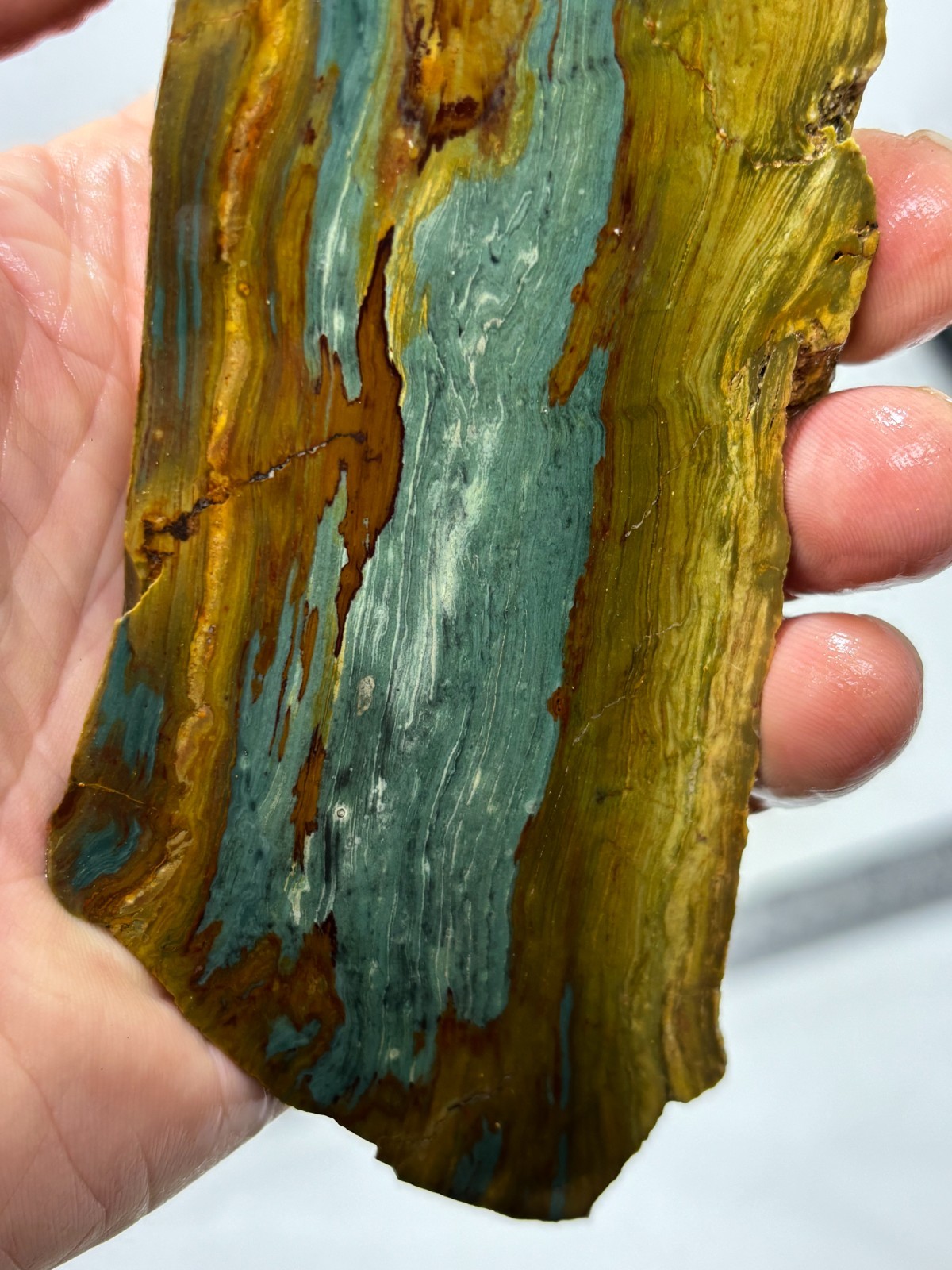 Gary Green Caldera Freedom Jasper Slab Cabbing Lapidary Combo Ship Avail