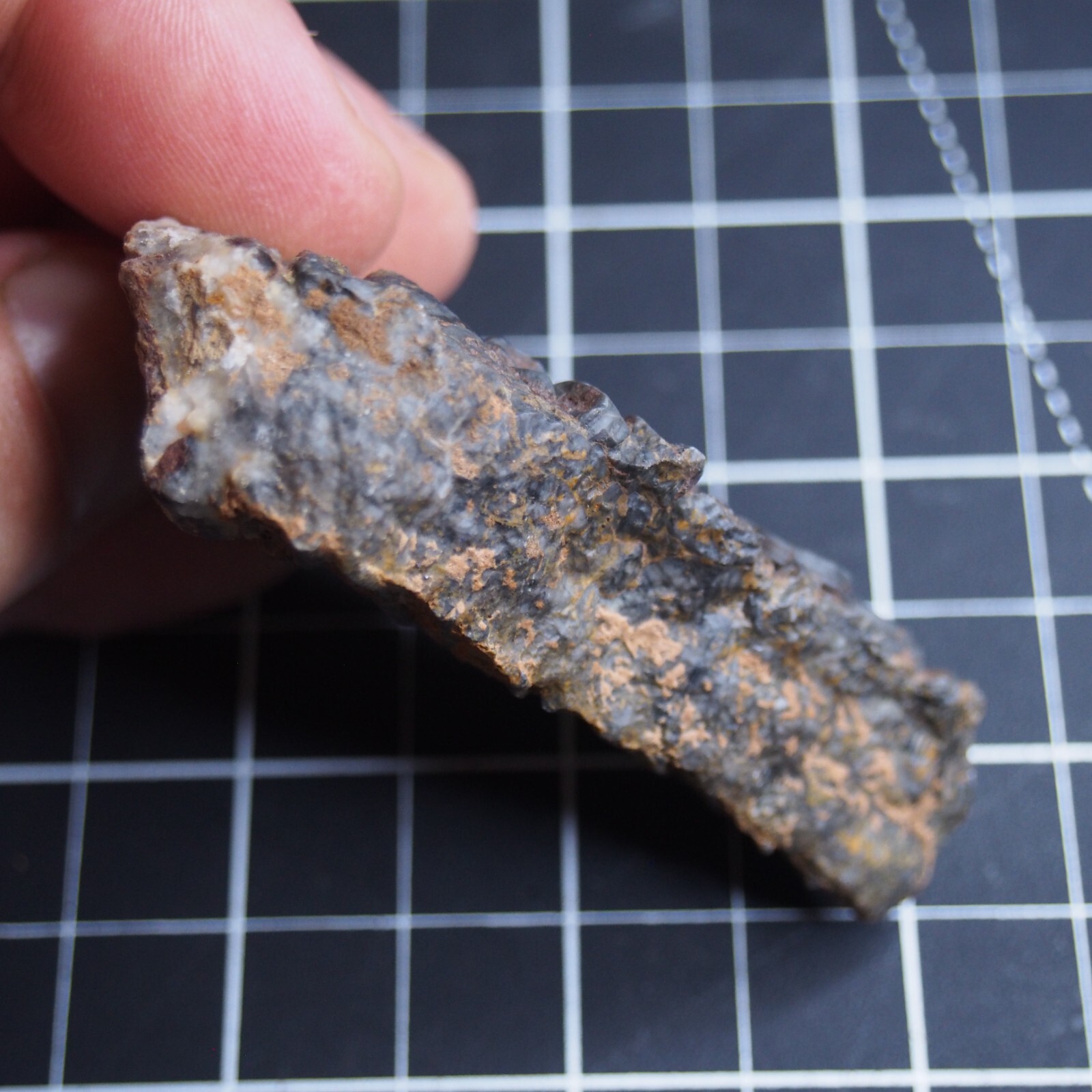 82g Mahoumacrinus sp. Scyphocrinites elegants Crinoid Devonian Fossil 1269