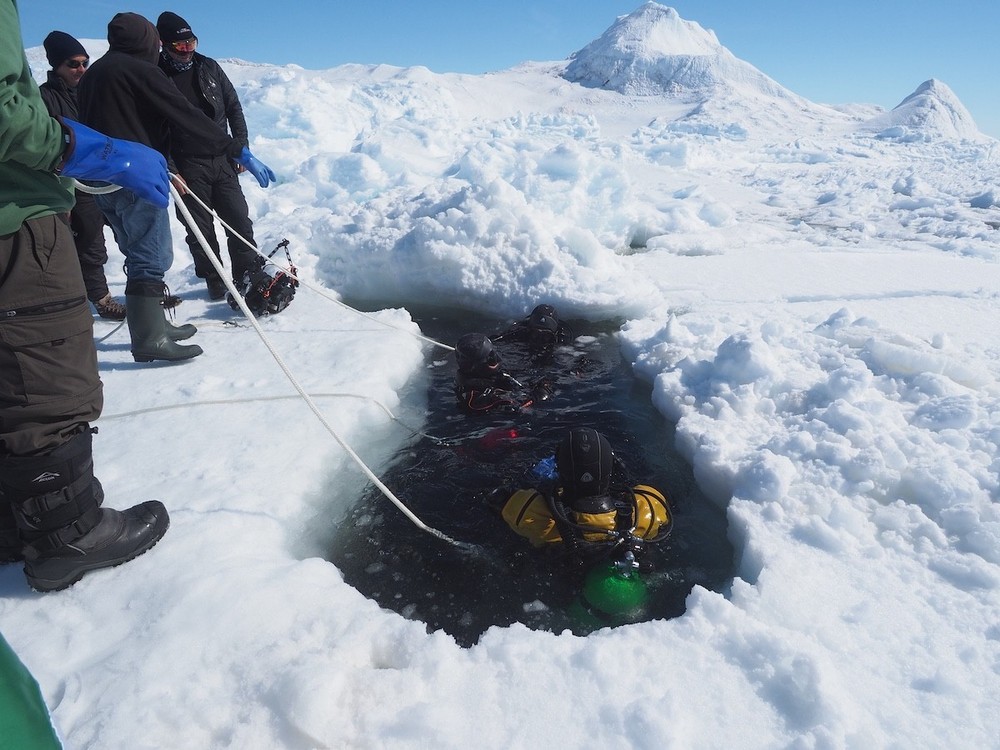 Mares GENIUS Color tech dive computer (black) with TWO Mares Transmitters!