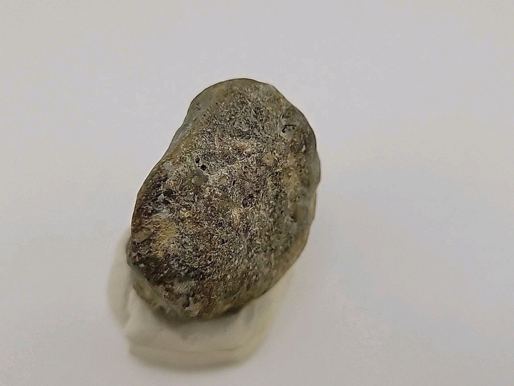 Real Permineralized Dinosaur Half Egg Embro Uv Reactive