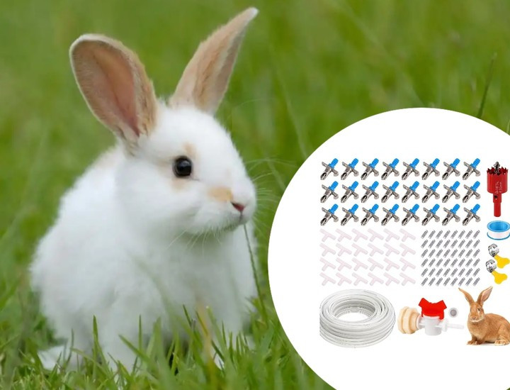 User Centric For rabbit Waterer with Continuous Flow and Dual Spring Spout
