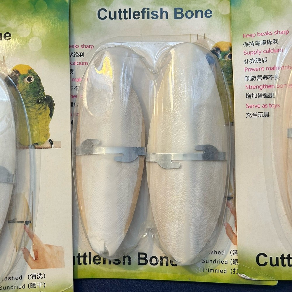 Cuttlefish Bone Bird Cuttlefish Bone