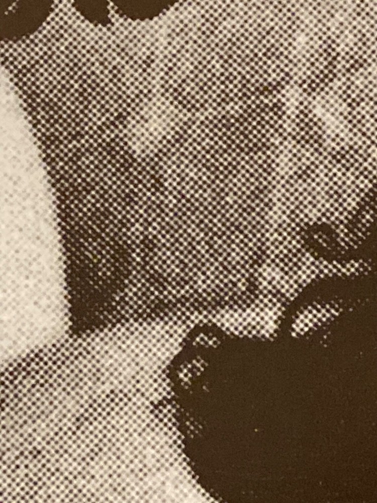 Frank Zappa Crappa On Toilet 1981 German Version AGI Ltd I