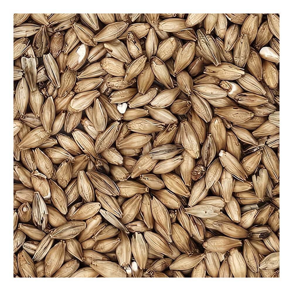 Home Brew Ohio Ale Grain 1lb