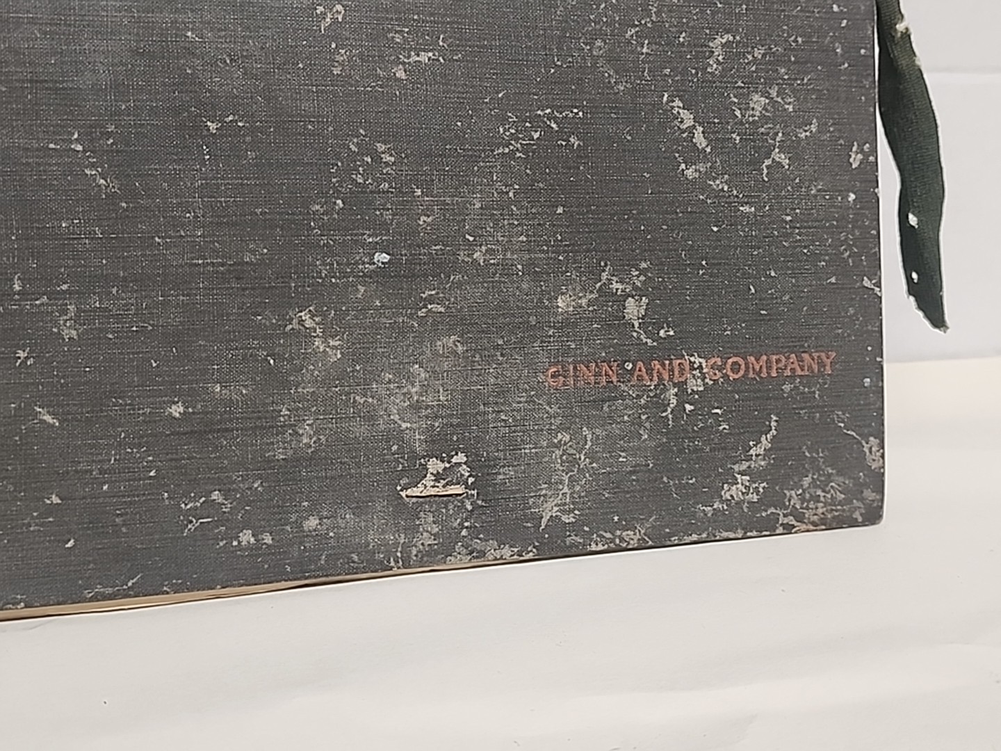 Antique HERBARIUM AND PLANT DESCRIPTIONS Meier Ginn And Company Complete 1907