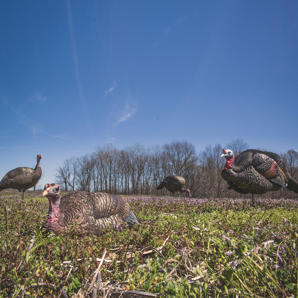 Dave Smith Decoy Turkey Flock Decoy