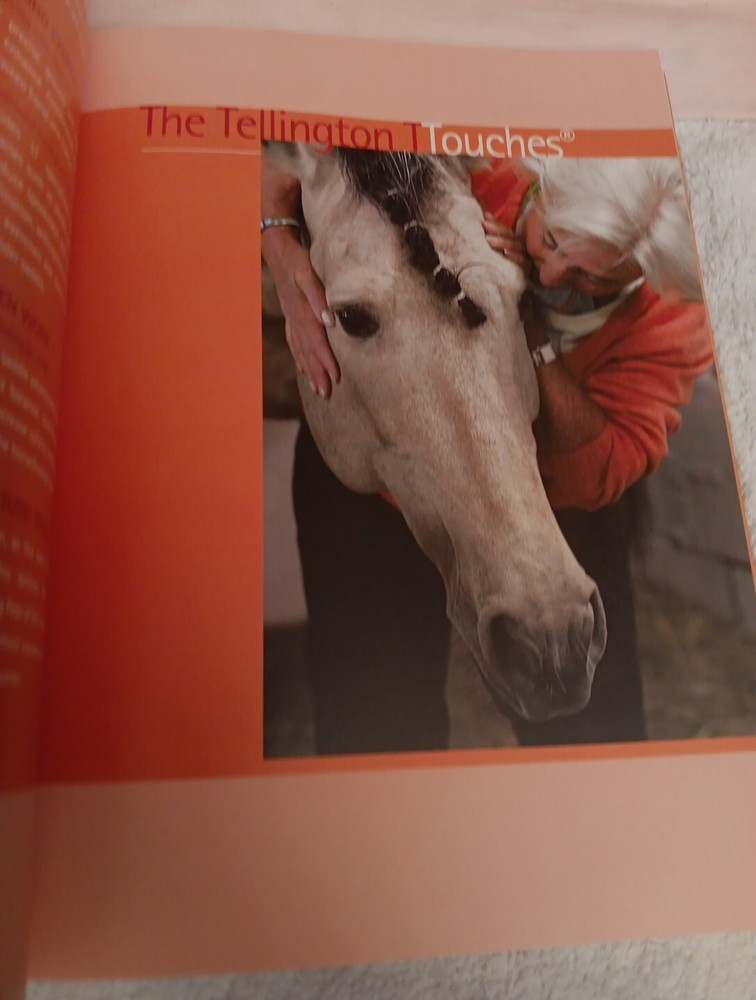 HORSE BEHAVIOR AND TRAINING BOOK BY JOHN LYONS