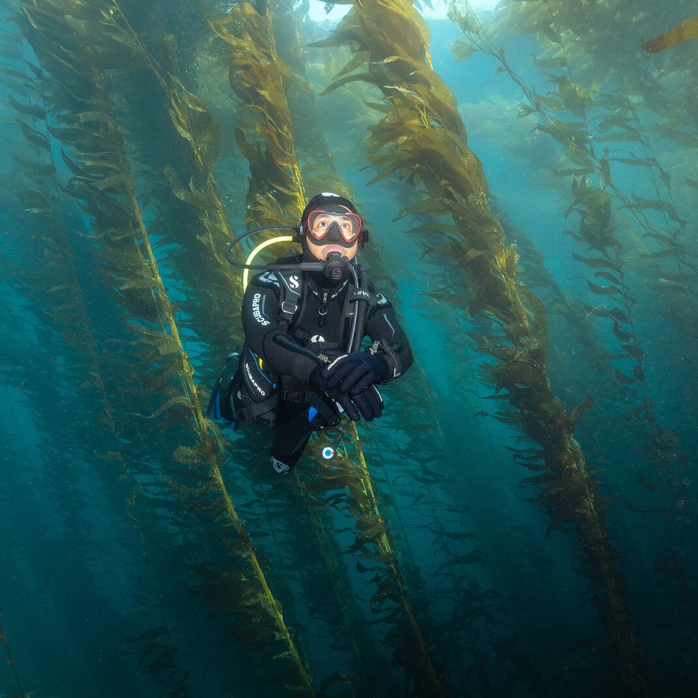 ScubaPro Level Quick Cinch with AIR2 Diving BCD