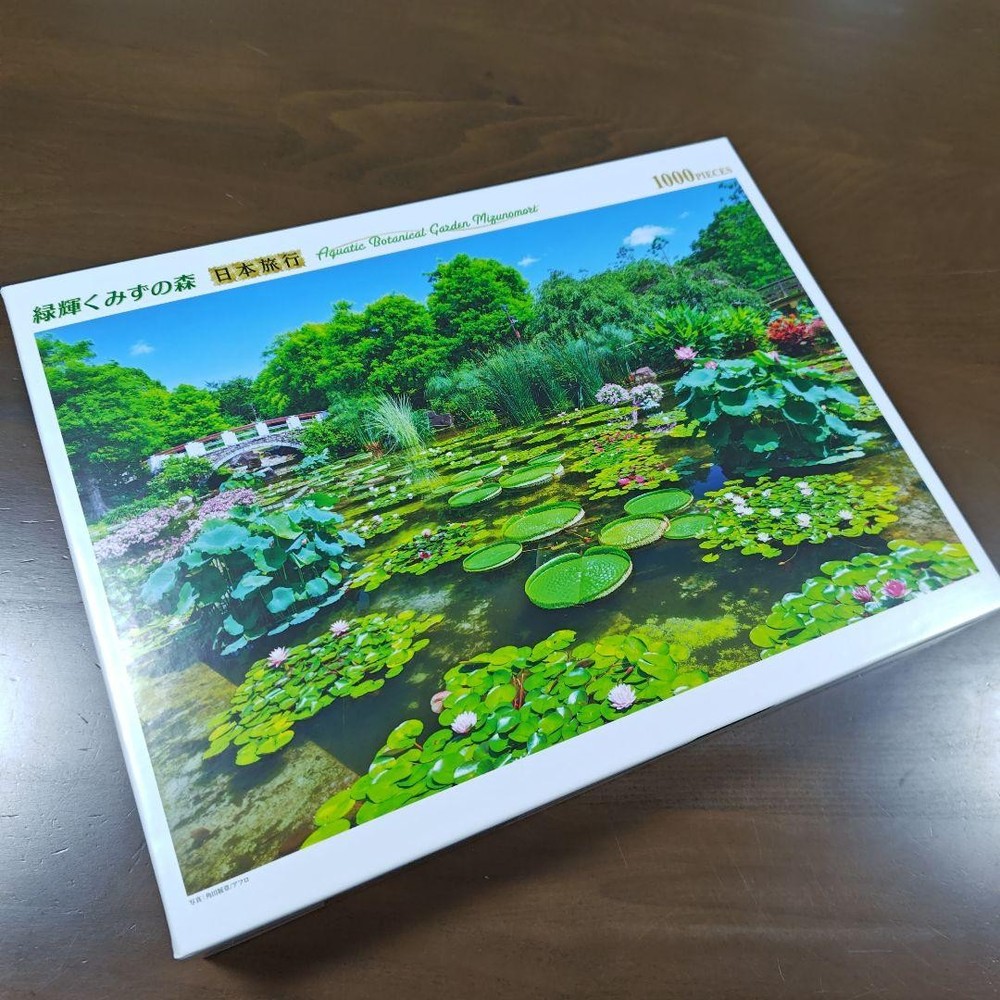 Green Shining Water Forest Japan Travel