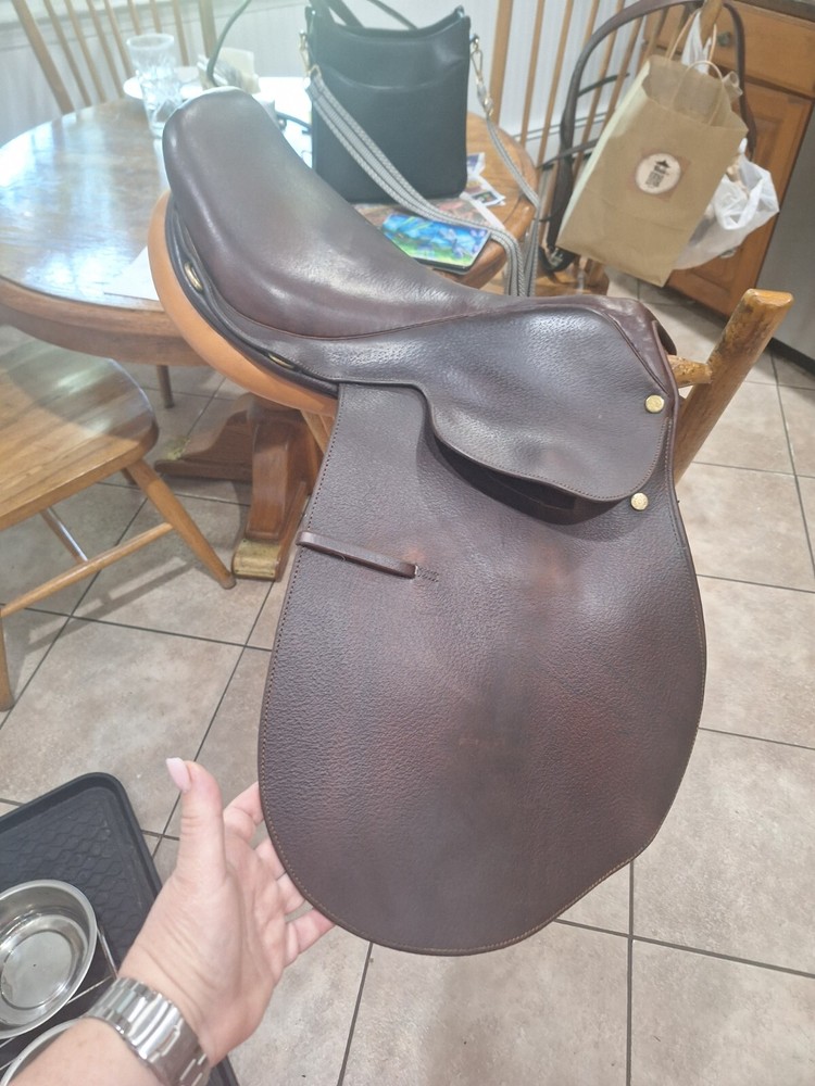 Collegiate 16.5" Saddle - Excellent Condition - with accessories