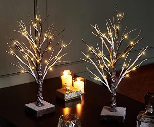 Pre Lit Tabletop Snow Dusted Tree with Timer 24LED 18IN Battery Snow 2 Set